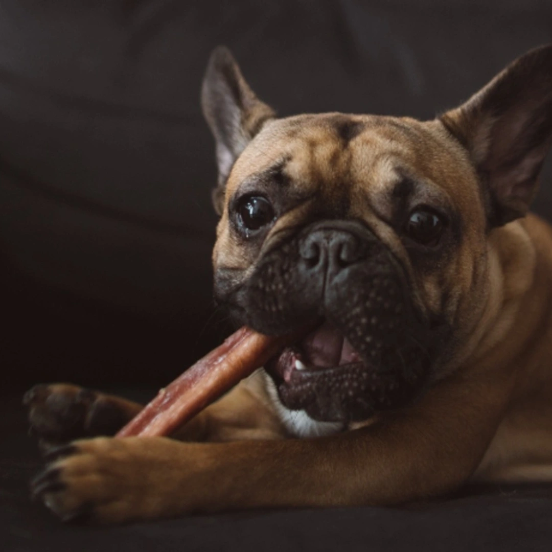 Bully Sticks & Treats: A Year of Tail-Wagging Goodness Delivered Monthly!